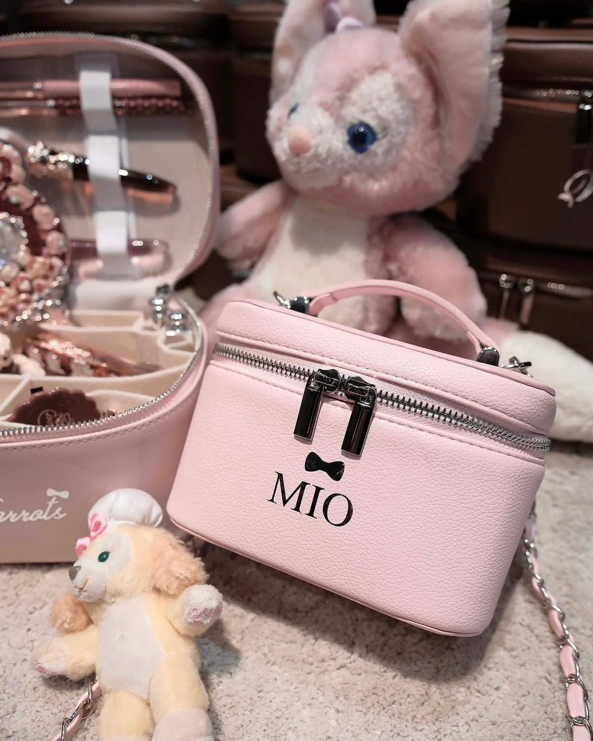 Mini Vanity Case